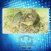 HAMON, LORD OF STRIKING THUNDER CUSTOM PLAYMAT