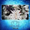 Lucemon Custom Playmat (2)