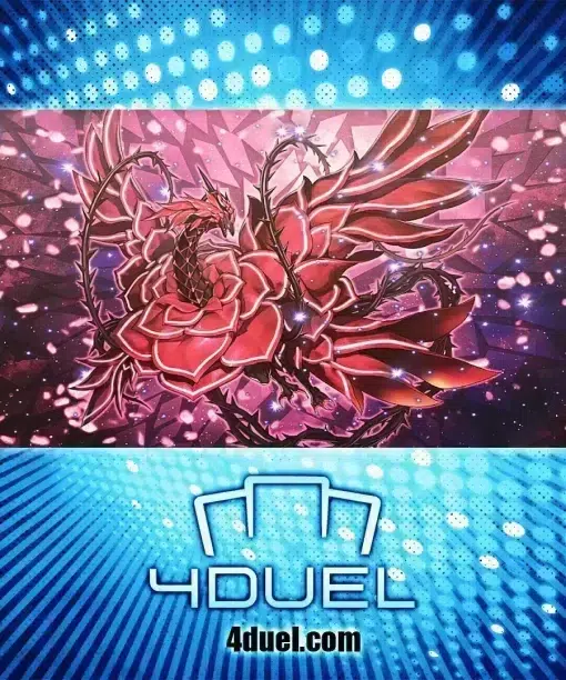 Ruddy Rose Dragon Custom Playmat